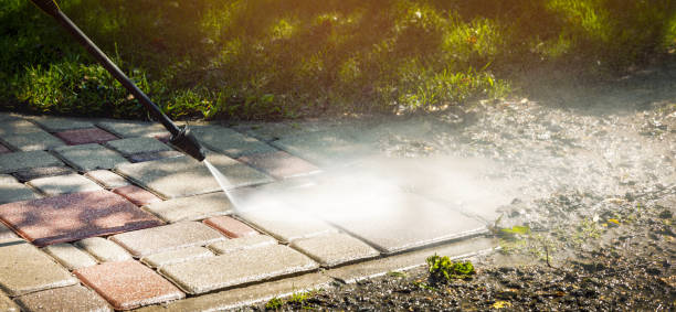 Best Roof Cleaning and Mildew Removal in West Hempstead, NY